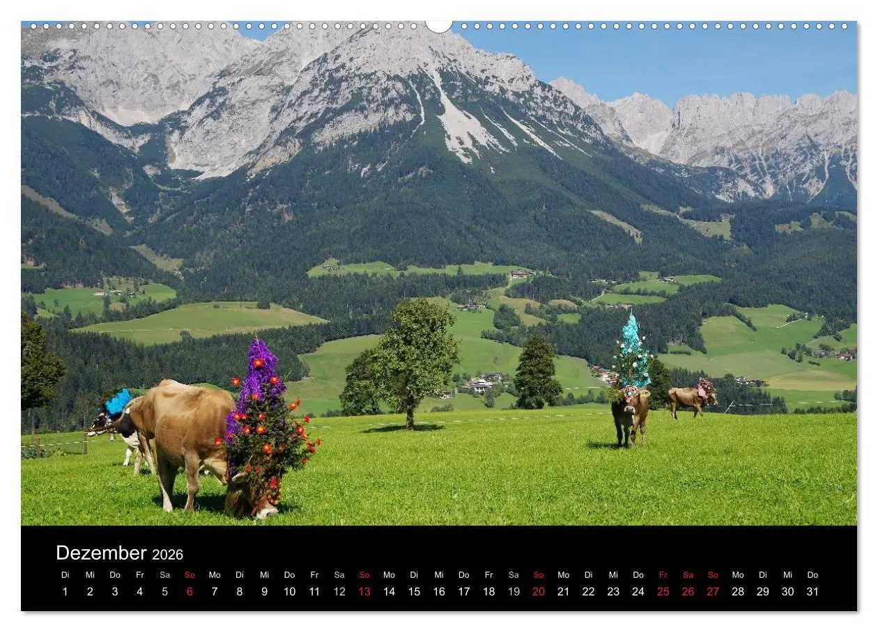 Bild: 9783516001693 | Almabtrieb in Tirol (Wandkalender 2026 DIN A2 quer), CALVENDO...