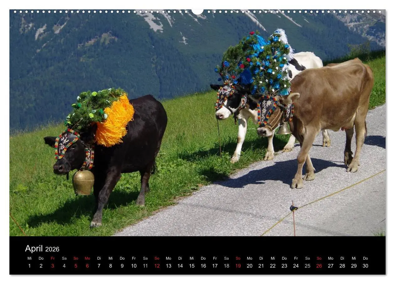 Bild: 9783516001693 | Almabtrieb in Tirol (Wandkalender 2026 DIN A2 quer), CALVENDO...