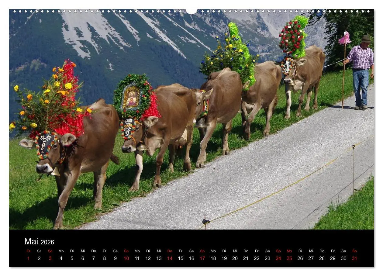 Bild: 9783516001693 | Almabtrieb in Tirol (Wandkalender 2026 DIN A2 quer), CALVENDO...
