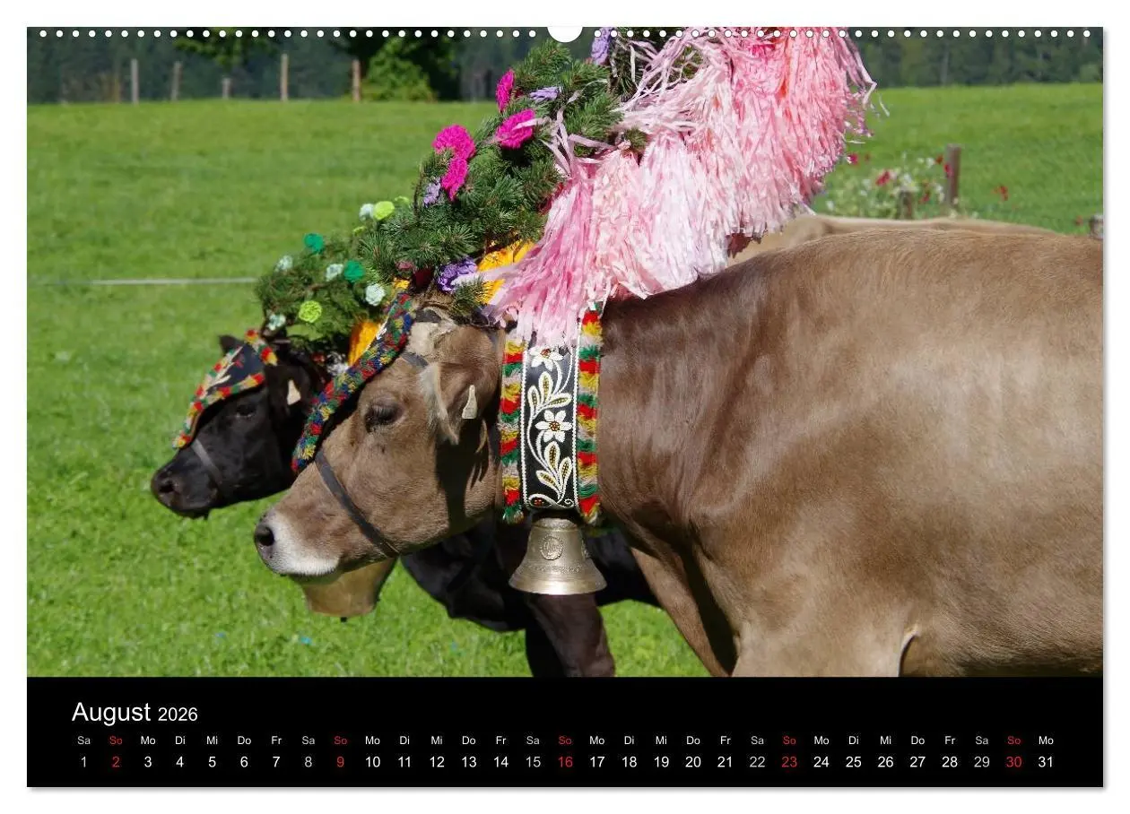 Bild: 9783516001693 | Almabtrieb in Tirol (Wandkalender 2026 DIN A2 quer), CALVENDO...