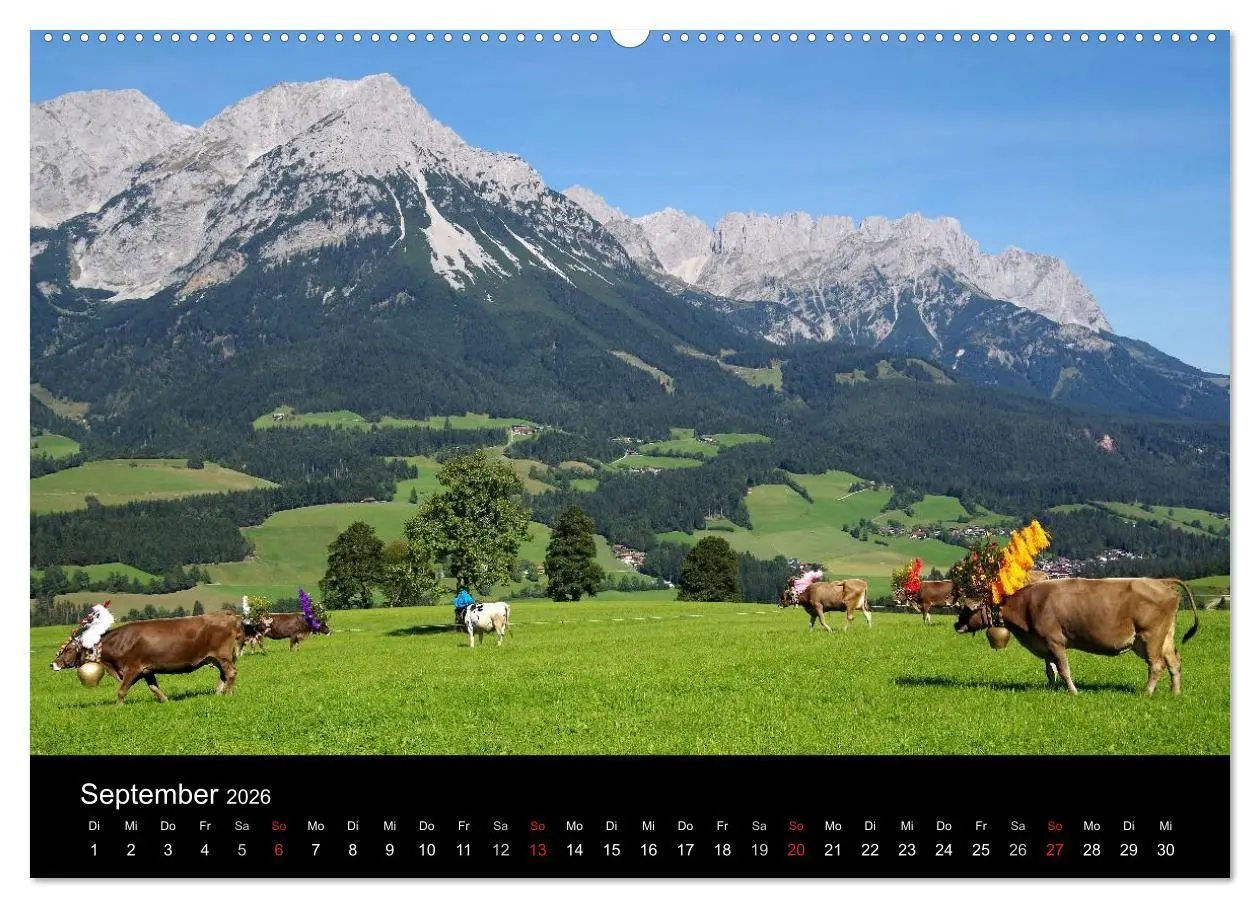 Bild: 9783516001693 | Almabtrieb in Tirol (Wandkalender 2026 DIN A2 quer), CALVENDO...
