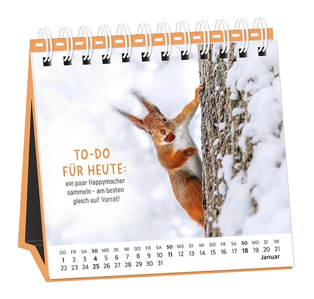 Bild: 9783986361693 | Tischkalender 2026 Happymacher | Tischkalender | Original | Kalender