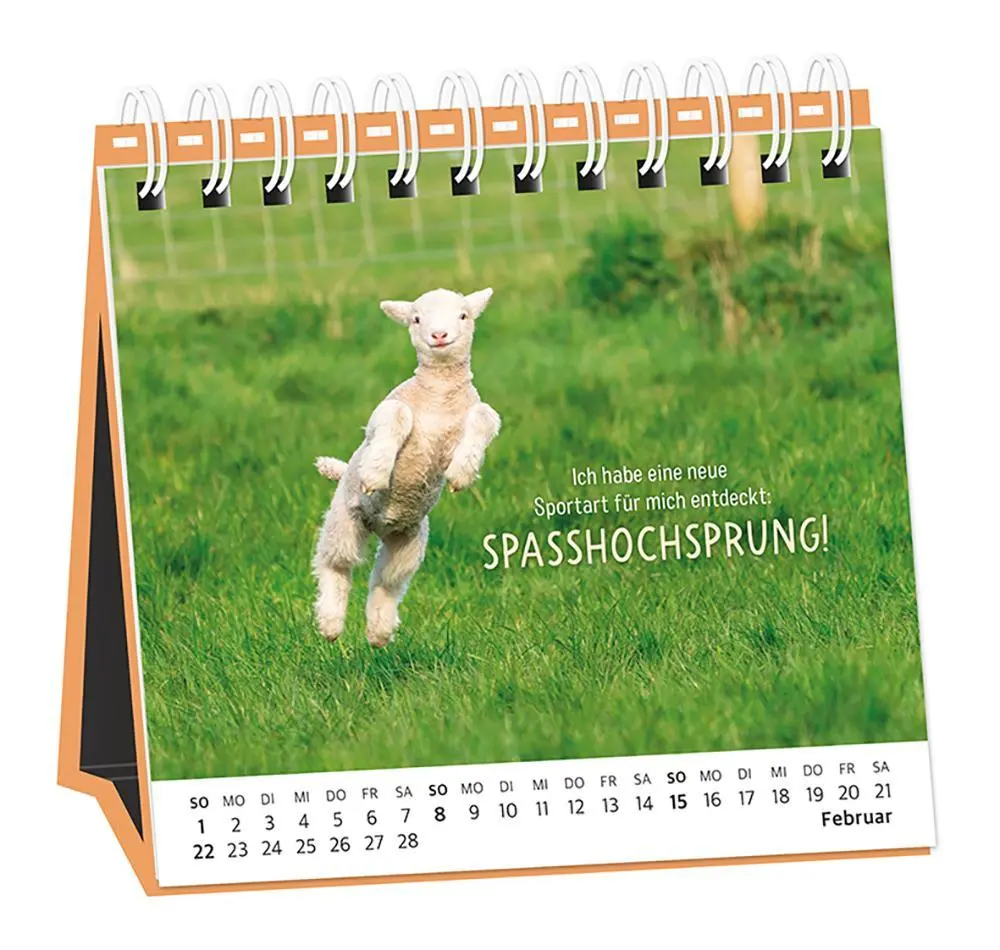 Bild: 9783986361693 | Tischkalender 2026 Happymacher | Tischkalender | Original | Kalender