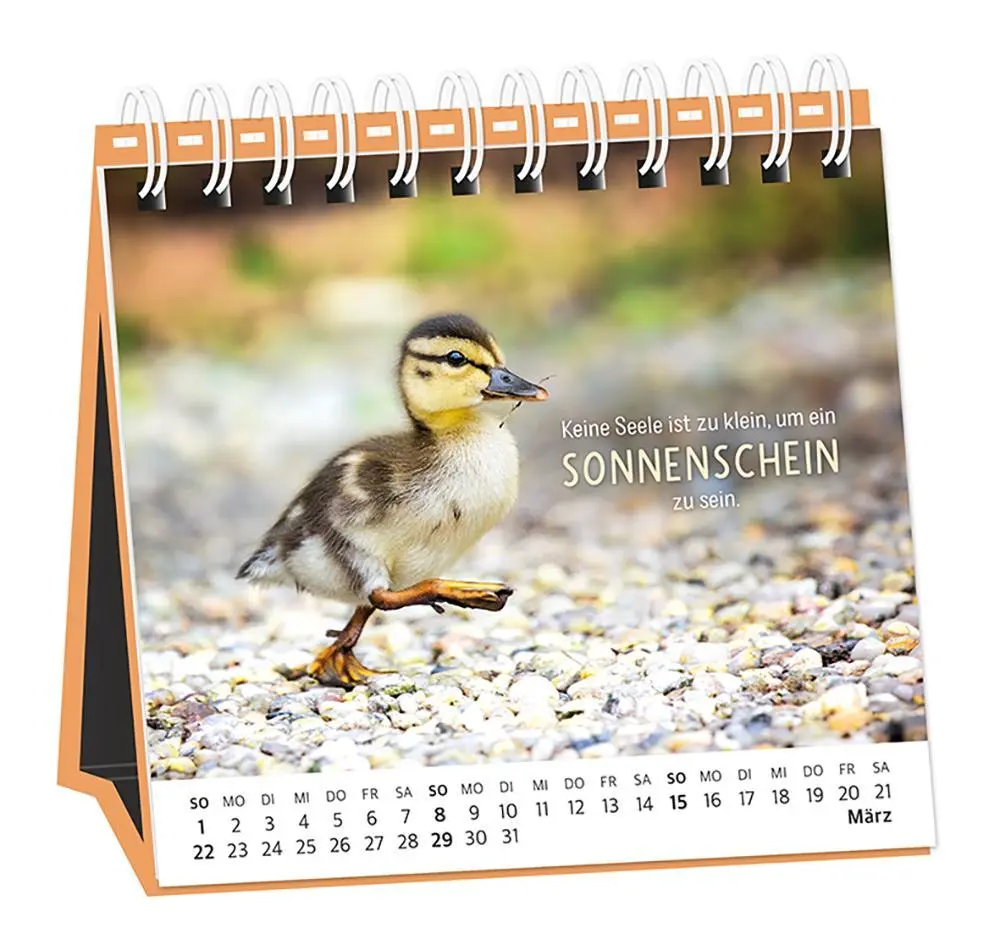 Bild: 9783986361693 | Tischkalender 2026 Happymacher | Tischkalender | Original | Kalender