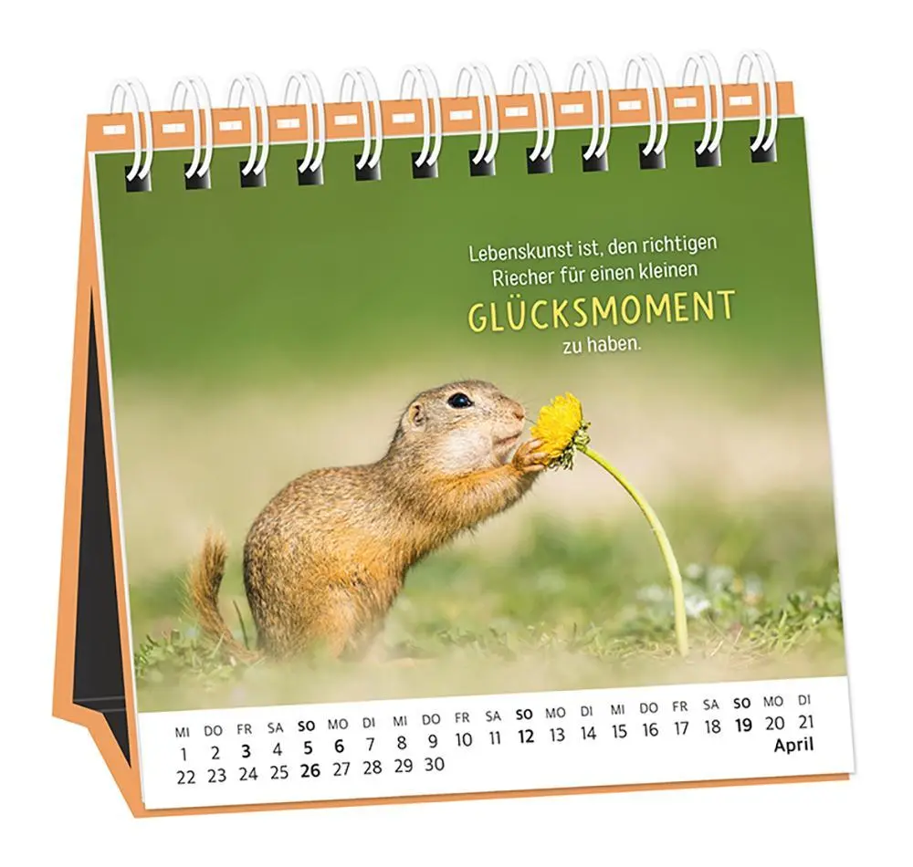 Bild: 9783986361693 | Tischkalender 2026 Happymacher | Tischkalender | Original | Kalender