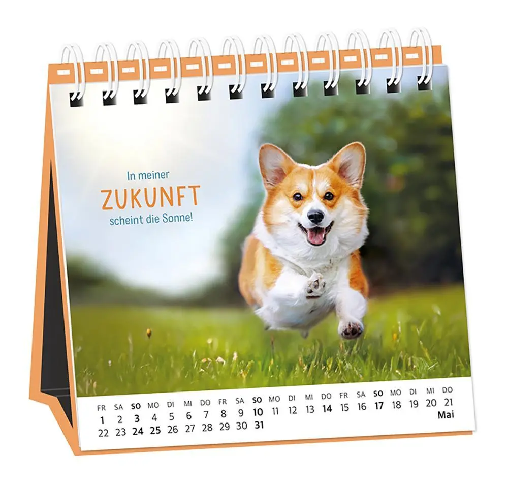 Bild: 9783986361693 | Tischkalender 2026 Happymacher | Tischkalender | Original | Kalender