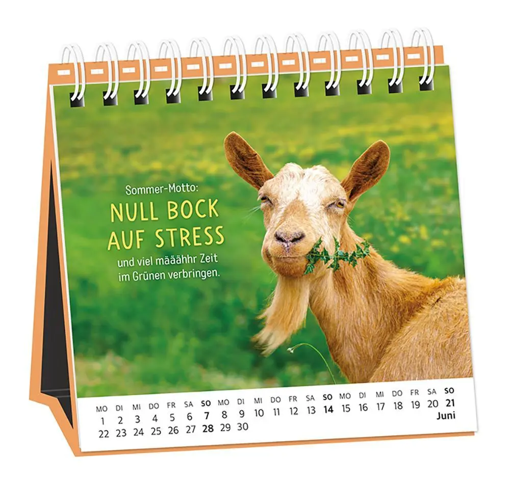 Bild: 9783986361693 | Tischkalender 2026 Happymacher | Tischkalender | Original | Kalender