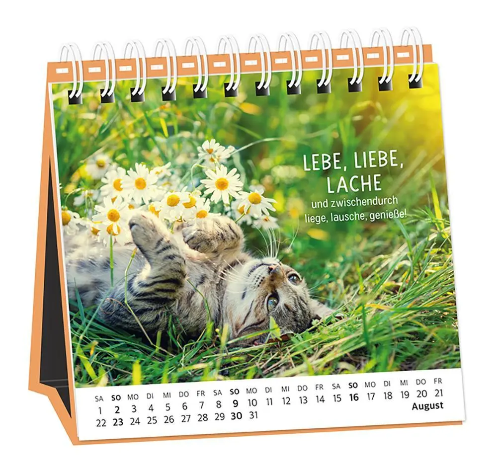 Bild: 9783986361693 | Tischkalender 2026 Happymacher | Tischkalender | Original | Kalender