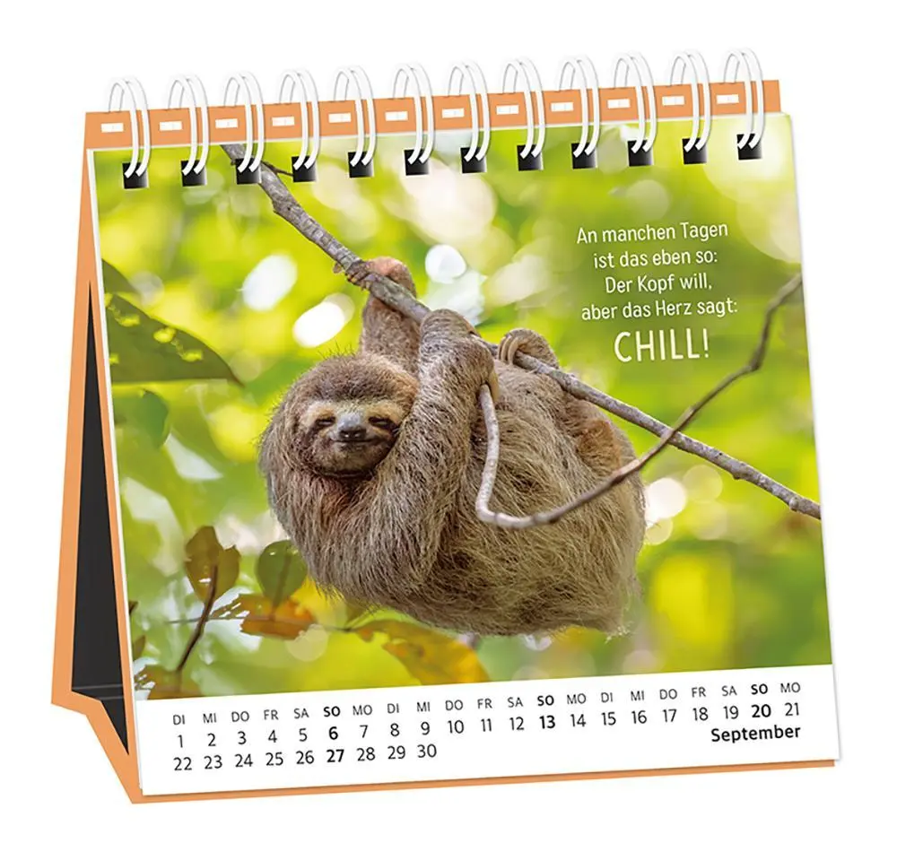 Bild: 9783986361693 | Tischkalender 2026 Happymacher | Tischkalender | Original | Kalender