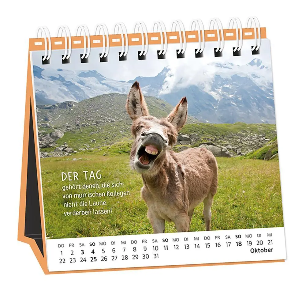 Bild: 9783986361693 | Tischkalender 2026 Happymacher | Tischkalender | Original | Kalender