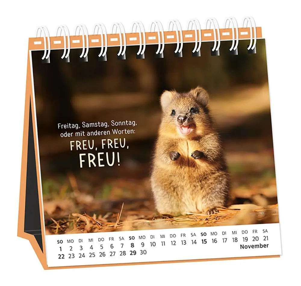 Bild: 9783986361693 | Tischkalender 2026 Happymacher | Tischkalender | Original | Kalender
