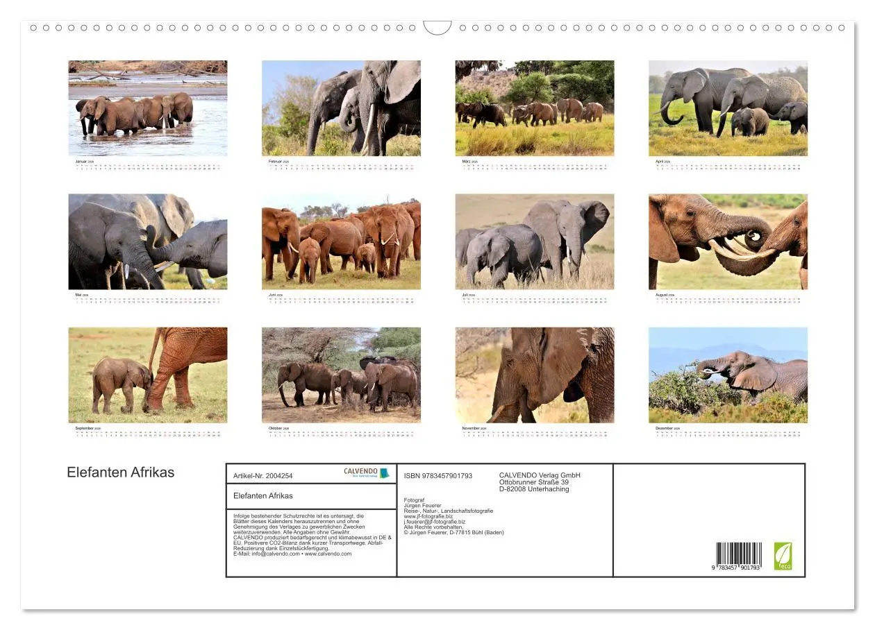Bild: 9783457901793 | Elefanten Afrikas (Wandkalender 2026 DIN A2 quer), CALVENDO...