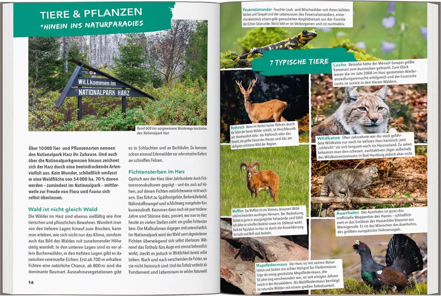 Bild: 9783575021793 | MARCO POLO OUTDOOR GUIDE Reiseführer Harz | Jana Zieseniß | Buch