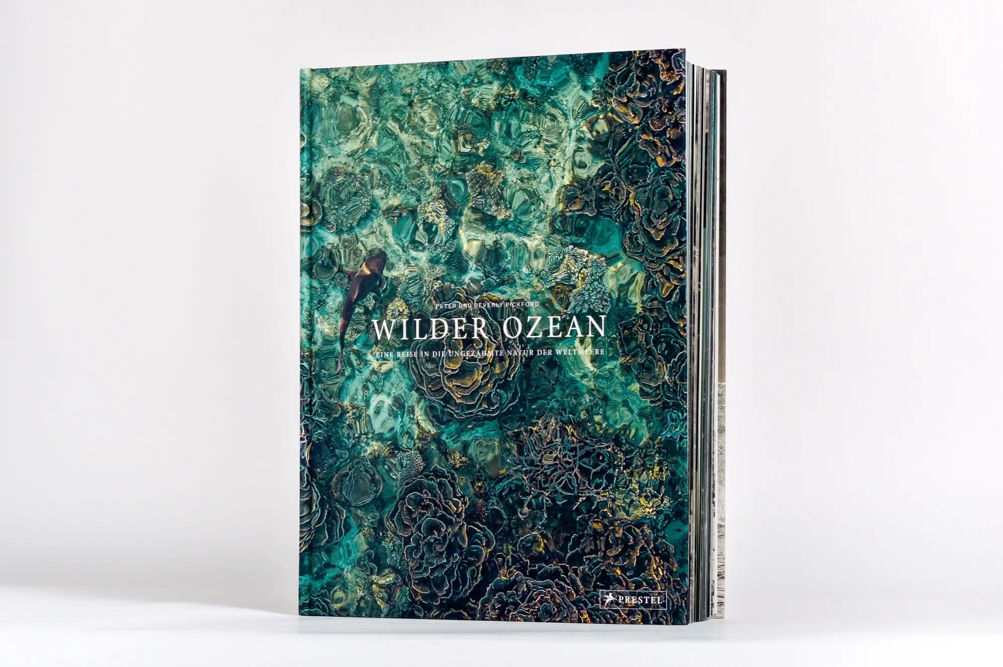 Bild: 9783791391793 | Wilder Ozean | Peter &amp; Beverly Pickford | Buch | 400 S. | Deutsch