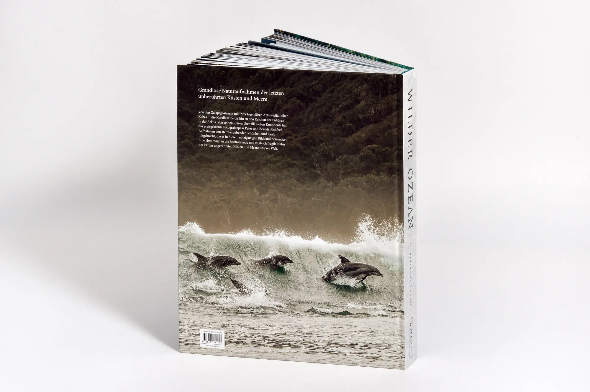 Bild: 9783791391793 | Wilder Ozean | Peter &amp; Beverly Pickford | Buch | 400 S. | Deutsch