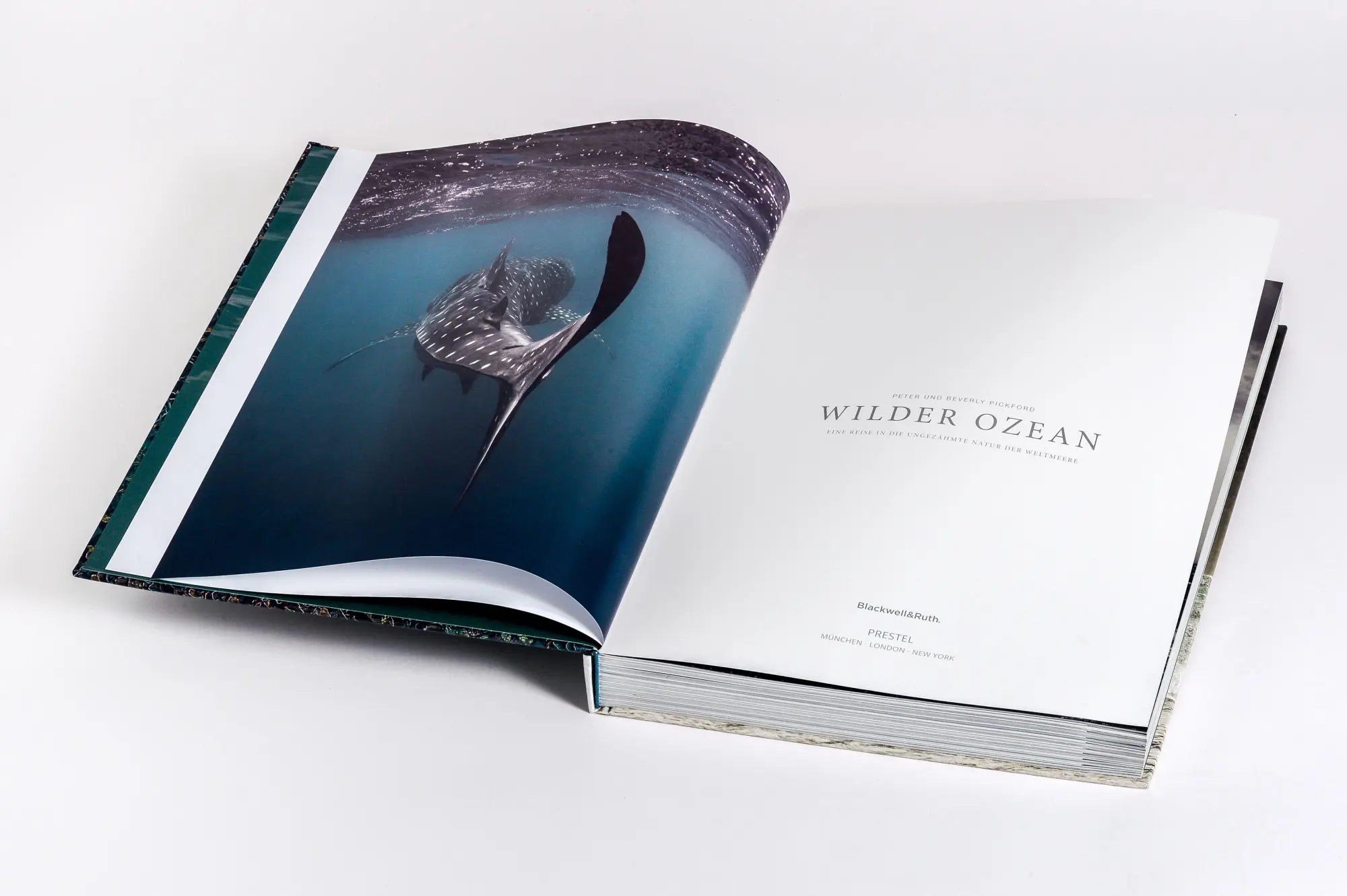 Bild: 9783791391793 | Wilder Ozean | Peter &amp; Beverly Pickford | Buch | 400 S. | Deutsch