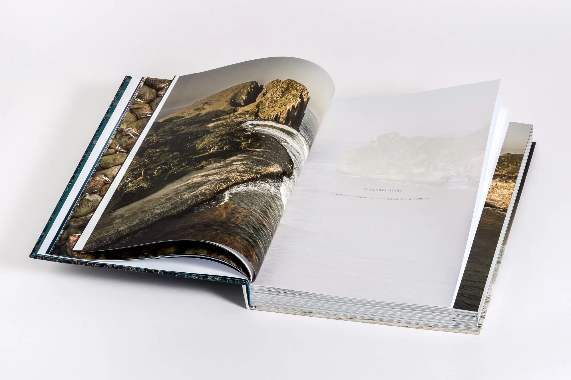 Bild: 9783791391793 | Wilder Ozean | Peter &amp; Beverly Pickford | Buch | 400 S. | Deutsch