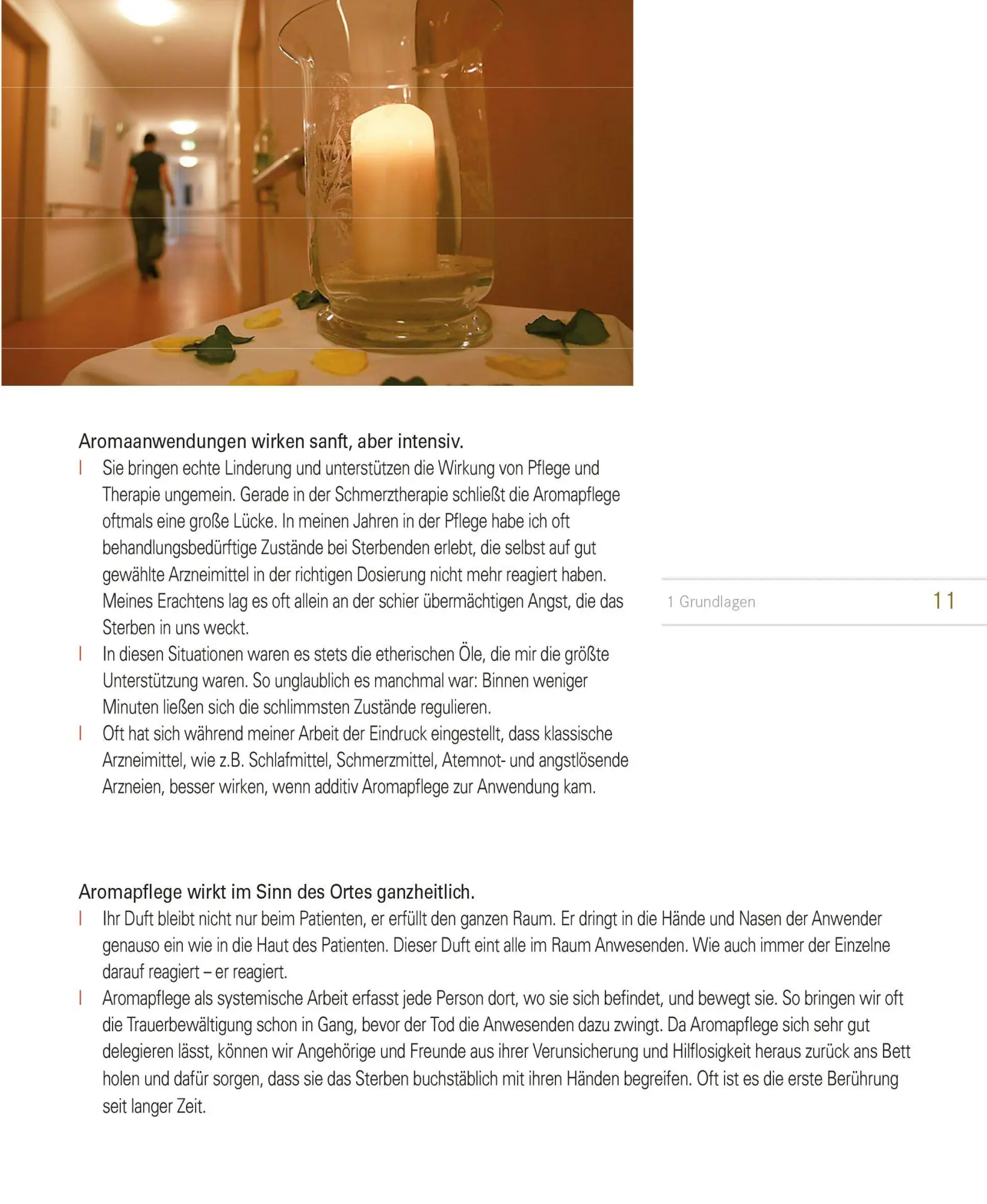 Bild: 9783941251793 | Aromapflege | Palliative Care für Einsteiger - Band 2 | Stefan Theierl