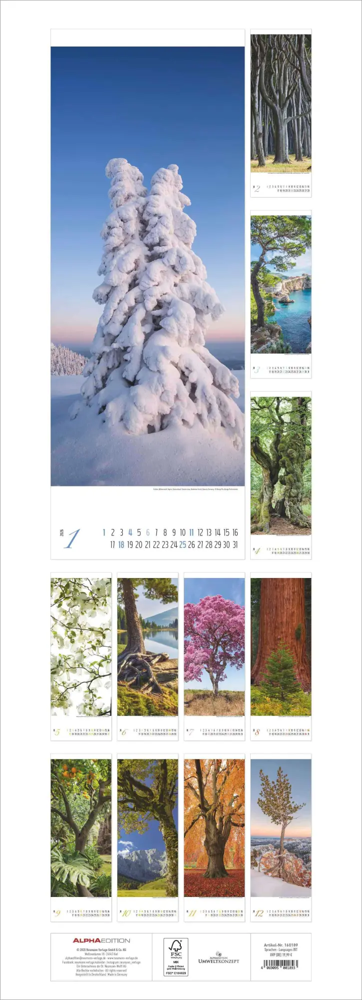 Bild: 4069095001893 | Bäume 2026 - Streifenkalender XXL 25x69 cm - Bildkalender im...