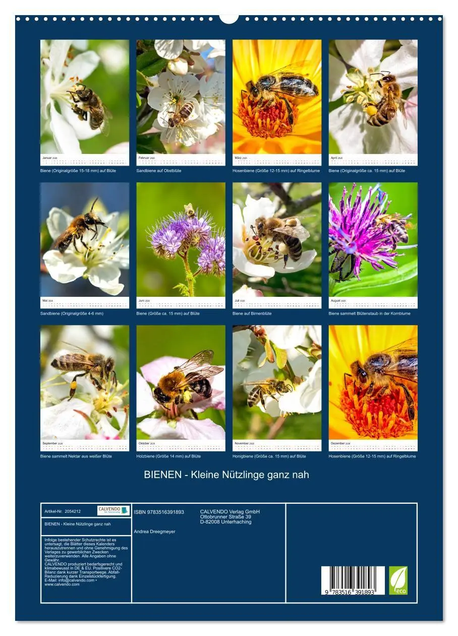 Bild: 9783516391893 | BIENEN - Kleine Nützlinge ganz nah (hochwertiger Premium...