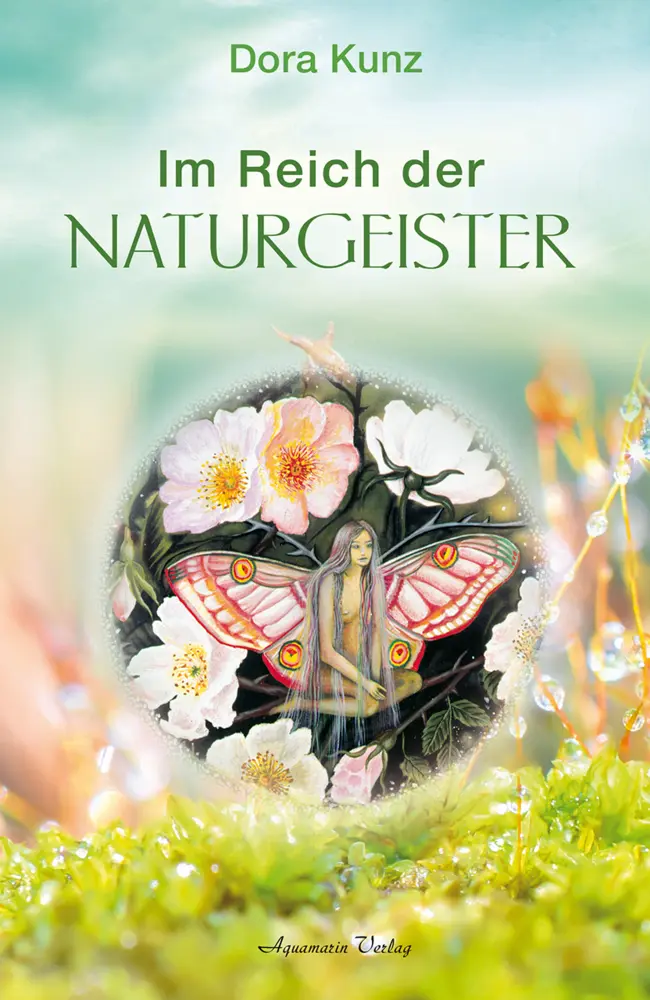 Cover: 9783894271893 | Im Reich der Naturgeister | Dora Kunz | Taschenbuch | 160 S. | Deutsch