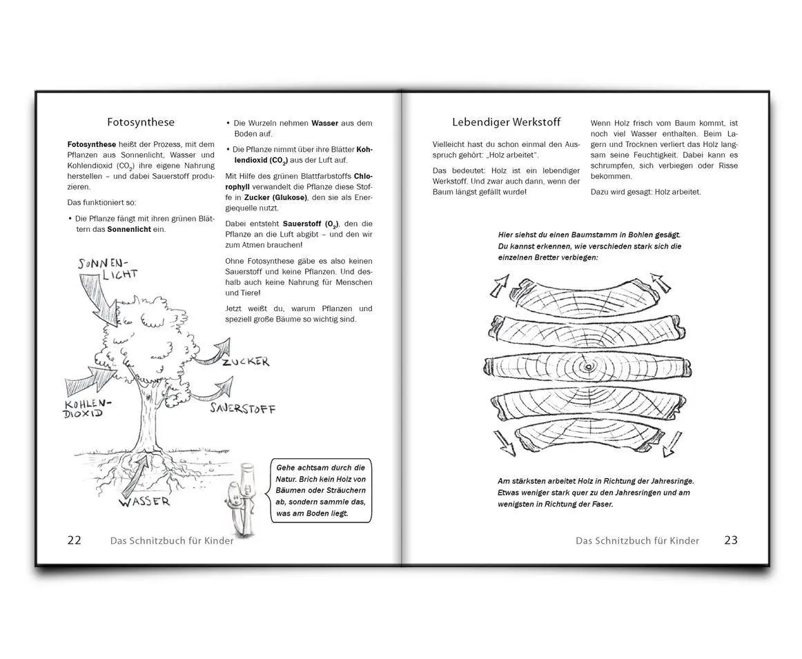 Bild: 9783990821893 | Das Schnitzbuch für Kinder - Mit Holzbildhauerei | Charline Alcantara