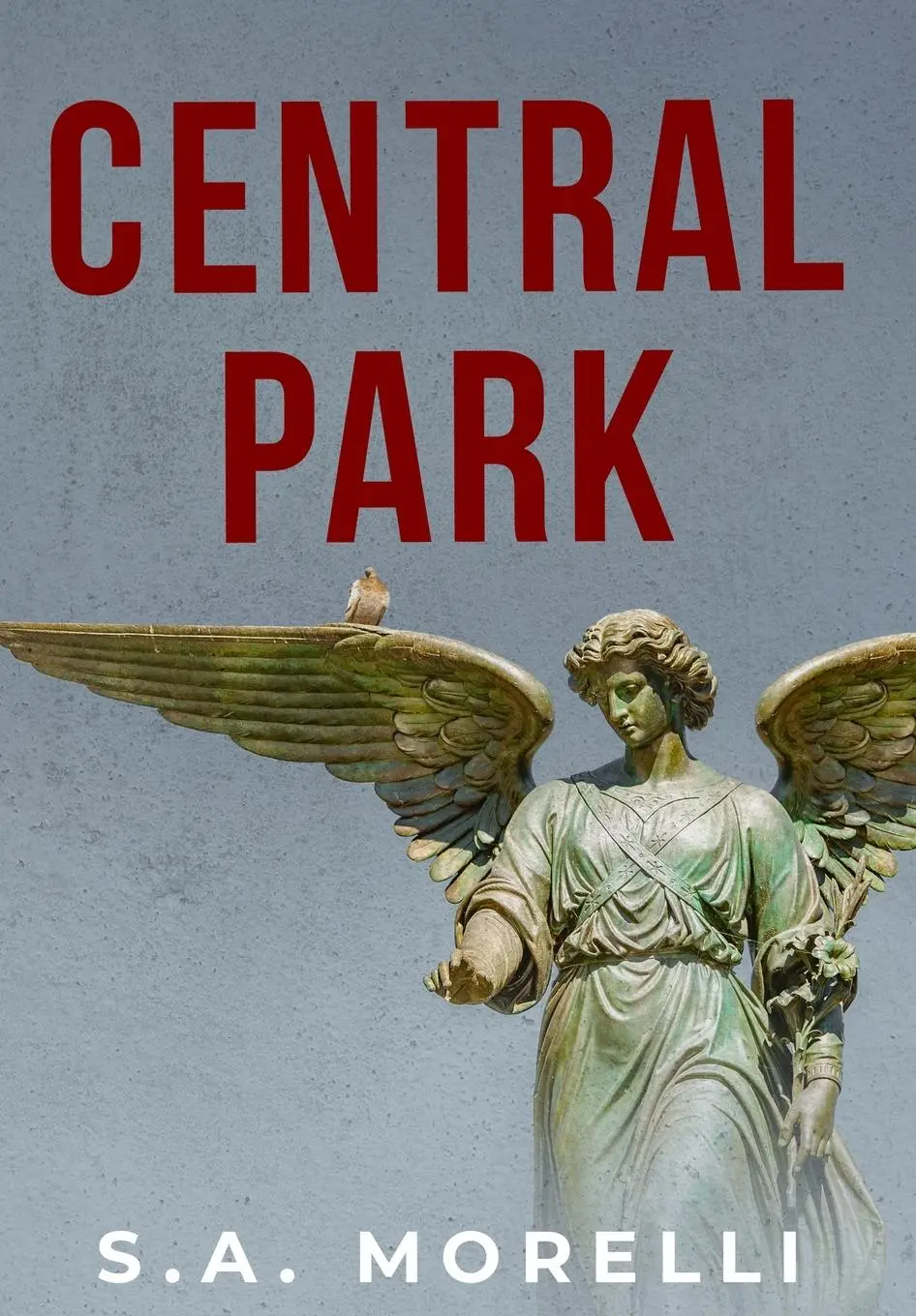 Cover: 9798822931893 | Central Park | S a Morelli | Buch | Englisch | 2023
