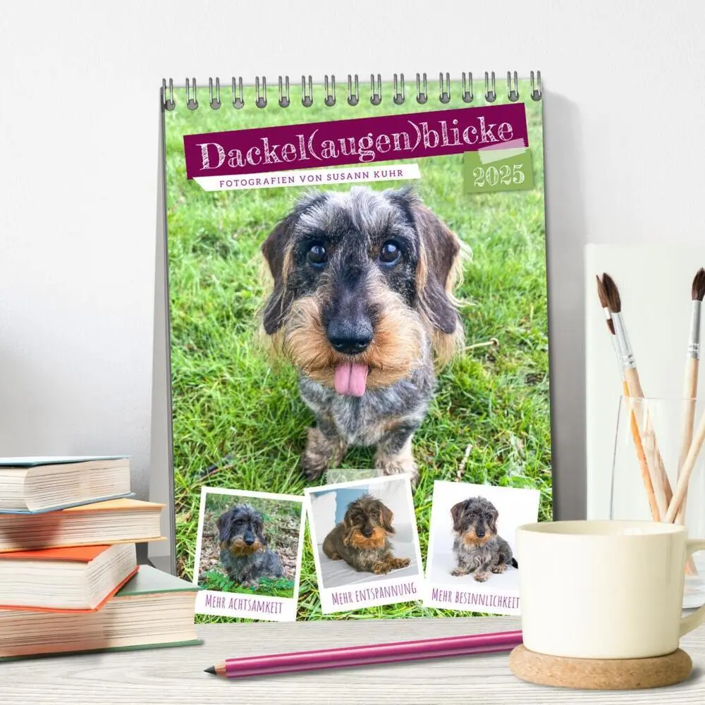 Bild: 9783435891993 | Dackel(augen)blicke (Tischkalender 2025 DIN A5 hoch), CALVENDO...