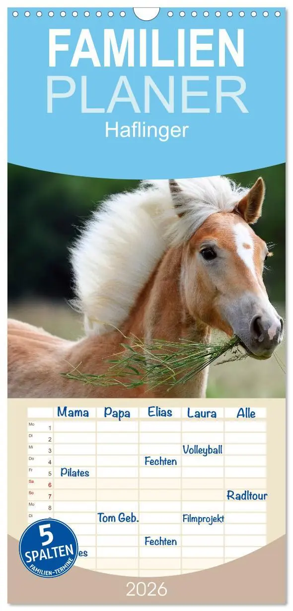 Cover: 9783516521993 | Familienplaner 2026 - Haflinger mit 5 Spalten (Wandkalender, 21 x...