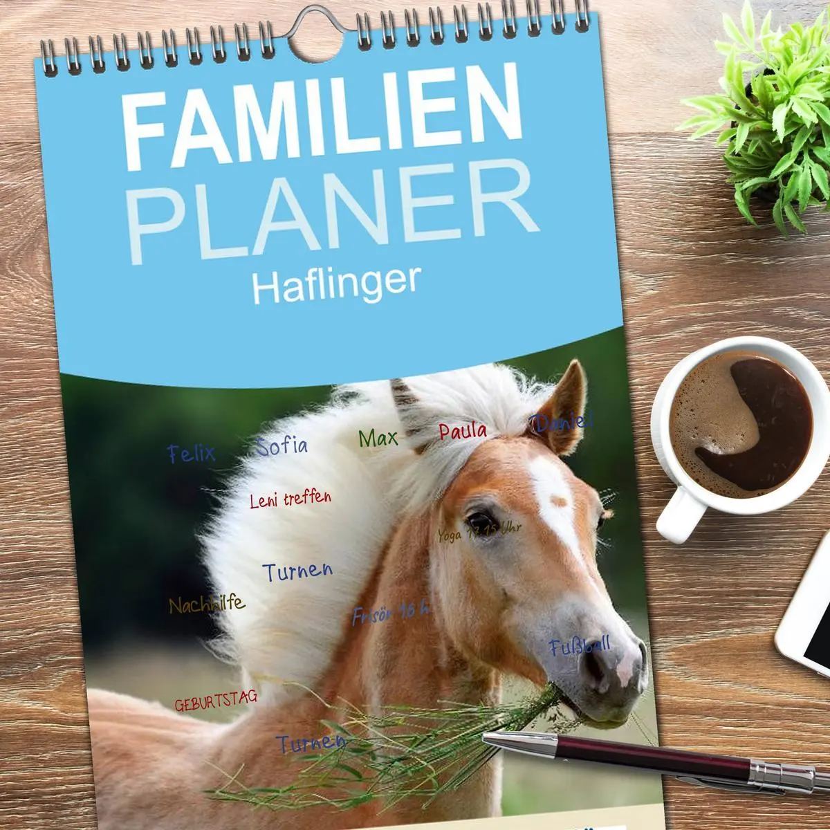 Bild: 9783516521993 | Familienplaner 2026 - Haflinger mit 5 Spalten (Wandkalender, 21 x...