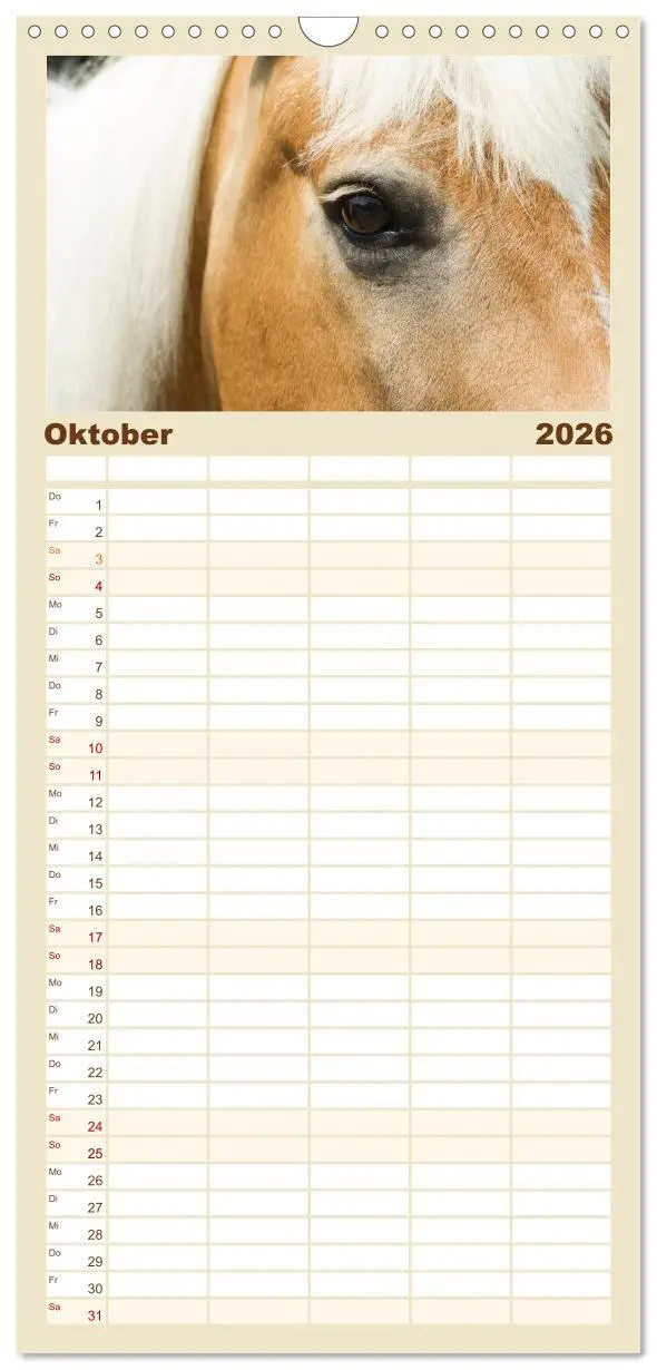 Bild: 9783516521993 | Familienplaner 2026 - Haflinger mit 5 Spalten (Wandkalender, 21 x...