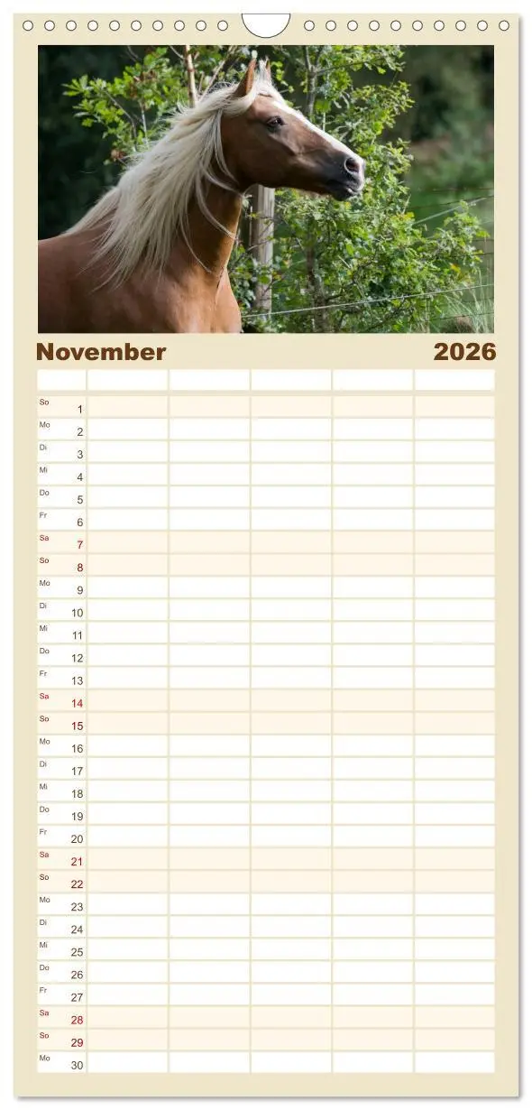 Bild: 9783516521993 | Familienplaner 2026 - Haflinger mit 5 Spalten (Wandkalender, 21 x...