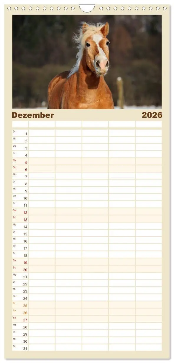Bild: 9783516521993 | Familienplaner 2026 - Haflinger mit 5 Spalten (Wandkalender, 21 x...