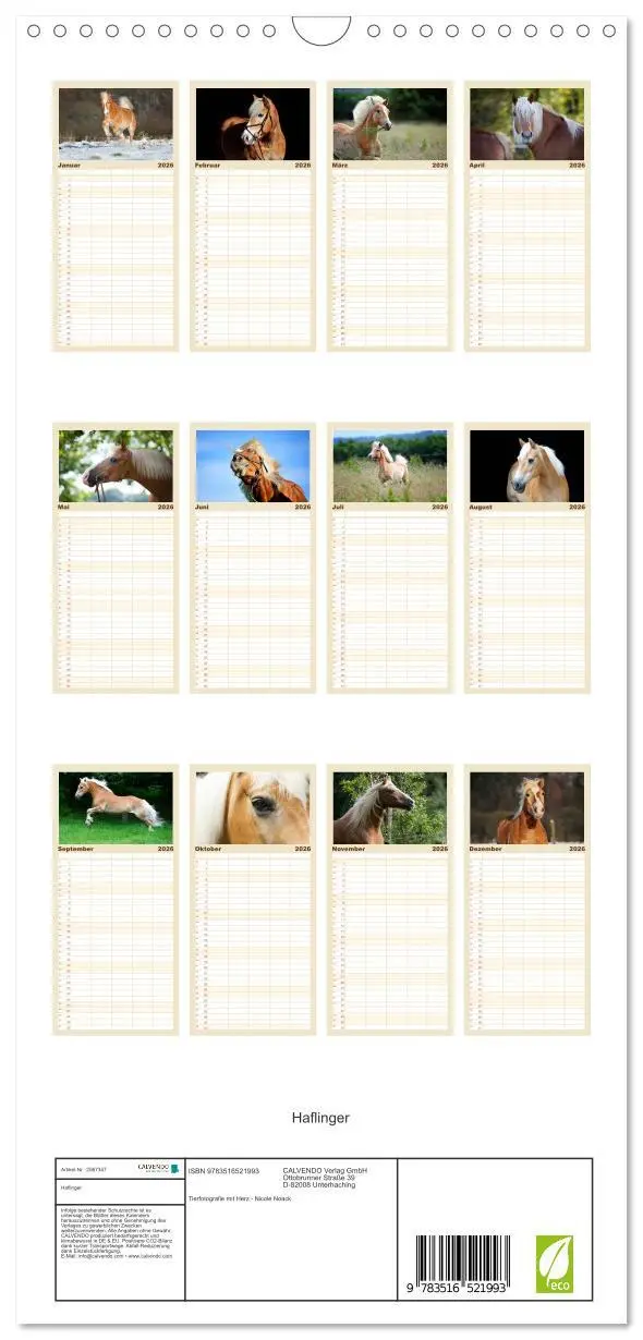 Bild: 9783516521993 | Familienplaner 2026 - Haflinger mit 5 Spalten (Wandkalender, 21 x...