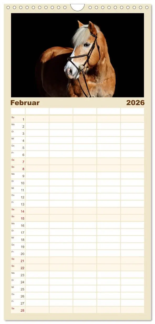 Bild: 9783516521993 | Familienplaner 2026 - Haflinger mit 5 Spalten (Wandkalender, 21 x...