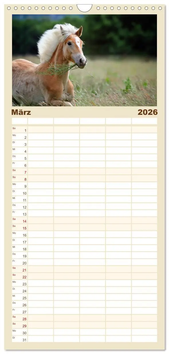 Bild: 9783516521993 | Familienplaner 2026 - Haflinger mit 5 Spalten (Wandkalender, 21 x...