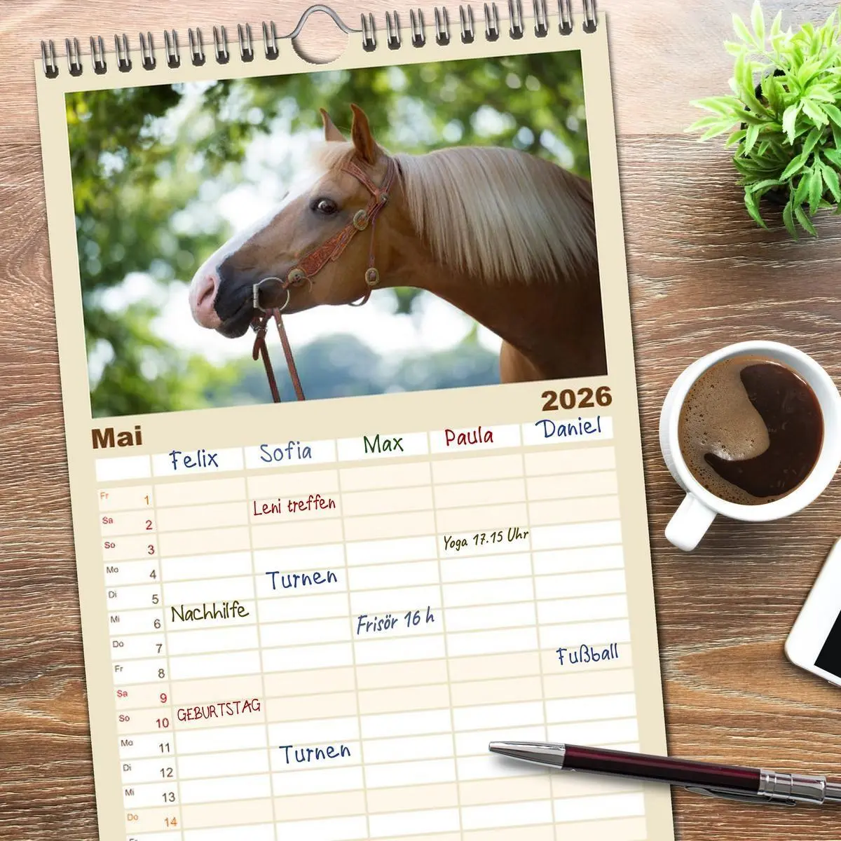 Bild: 9783516521993 | Familienplaner 2026 - Haflinger mit 5 Spalten (Wandkalender, 21 x...