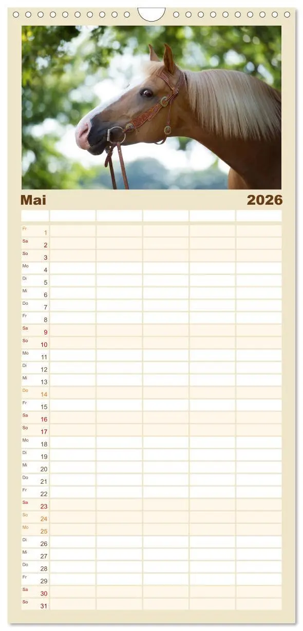 Bild: 9783516521993 | Familienplaner 2026 - Haflinger mit 5 Spalten (Wandkalender, 21 x...