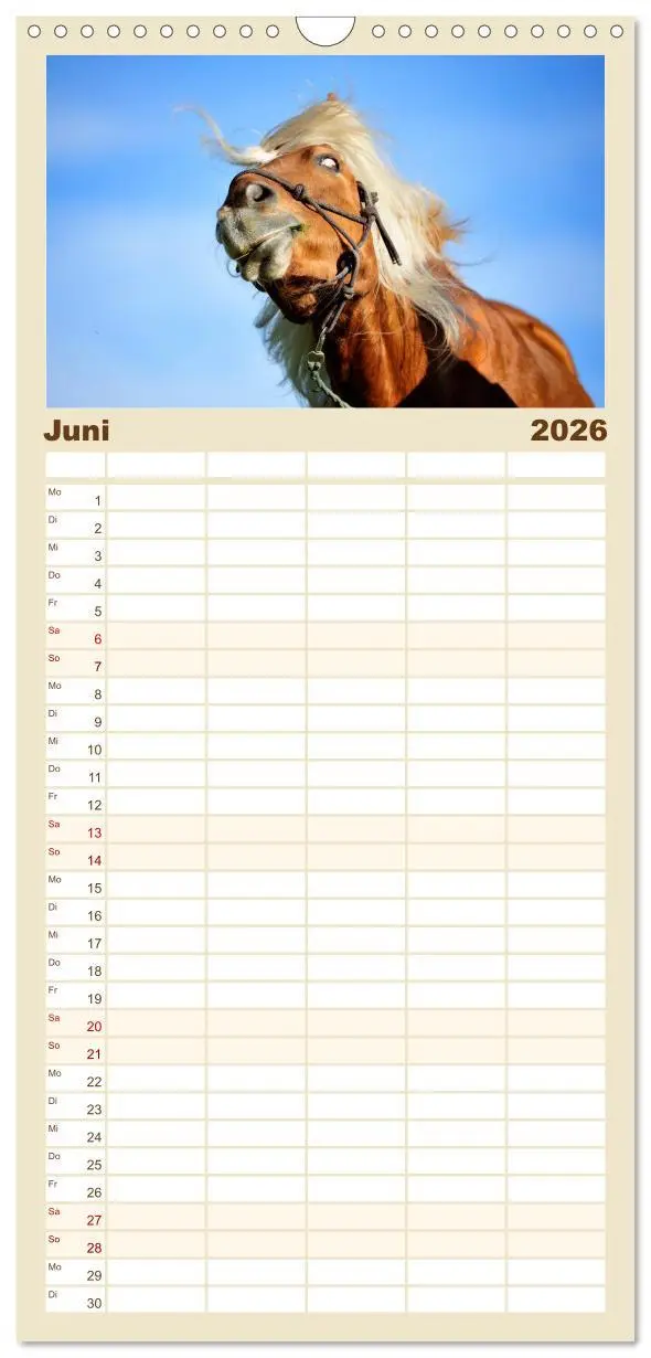Bild: 9783516521993 | Familienplaner 2026 - Haflinger mit 5 Spalten (Wandkalender, 21 x...