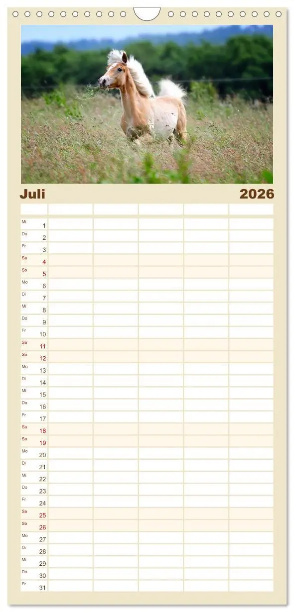 Bild: 9783516521993 | Familienplaner 2026 - Haflinger mit 5 Spalten (Wandkalender, 21 x...