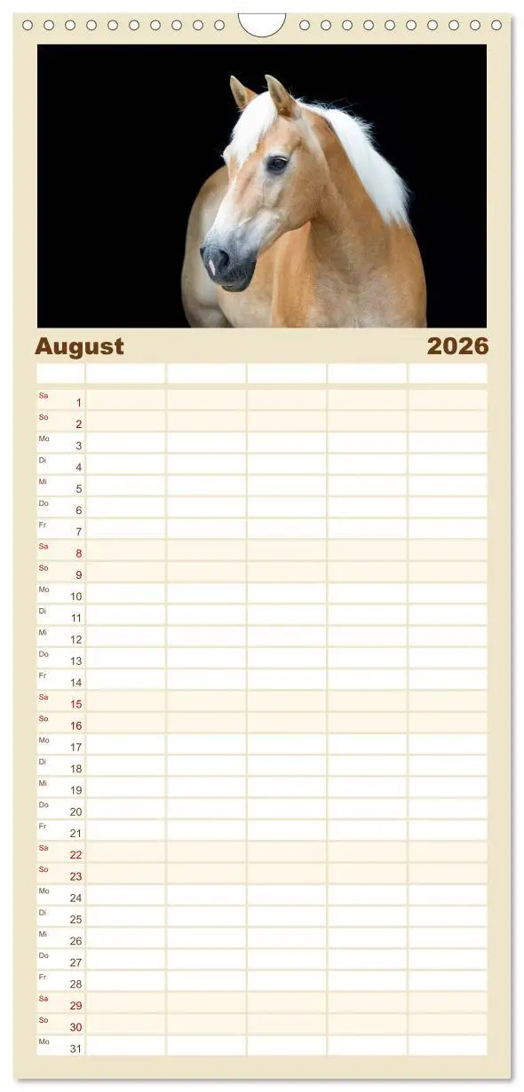 Bild: 9783516521993 | Familienplaner 2026 - Haflinger mit 5 Spalten (Wandkalender, 21 x...