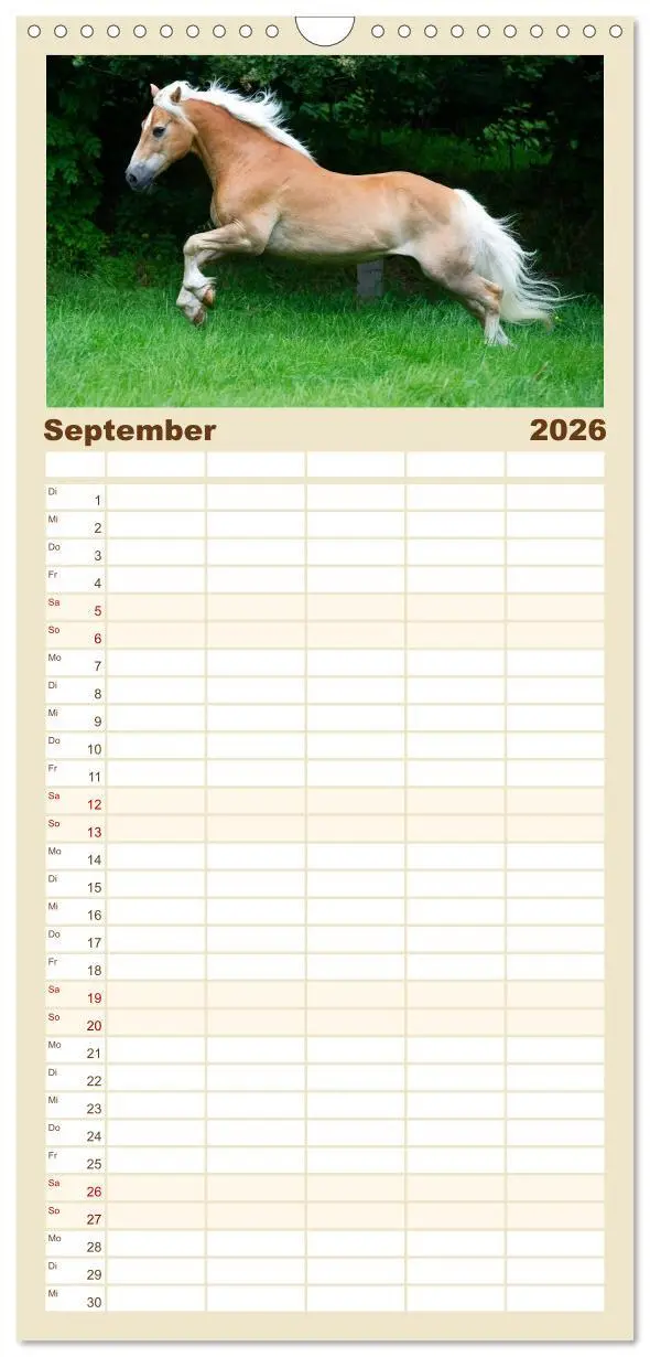 Bild: 9783516521993 | Familienplaner 2026 - Haflinger mit 5 Spalten (Wandkalender, 21 x...