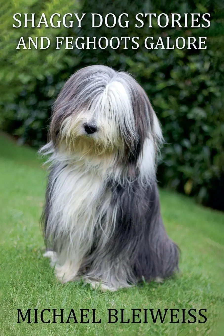 Cover: 9798232881993 | Shaggy Dog Stories and Feghoots Galore | Michael Bleiweiss | Buch