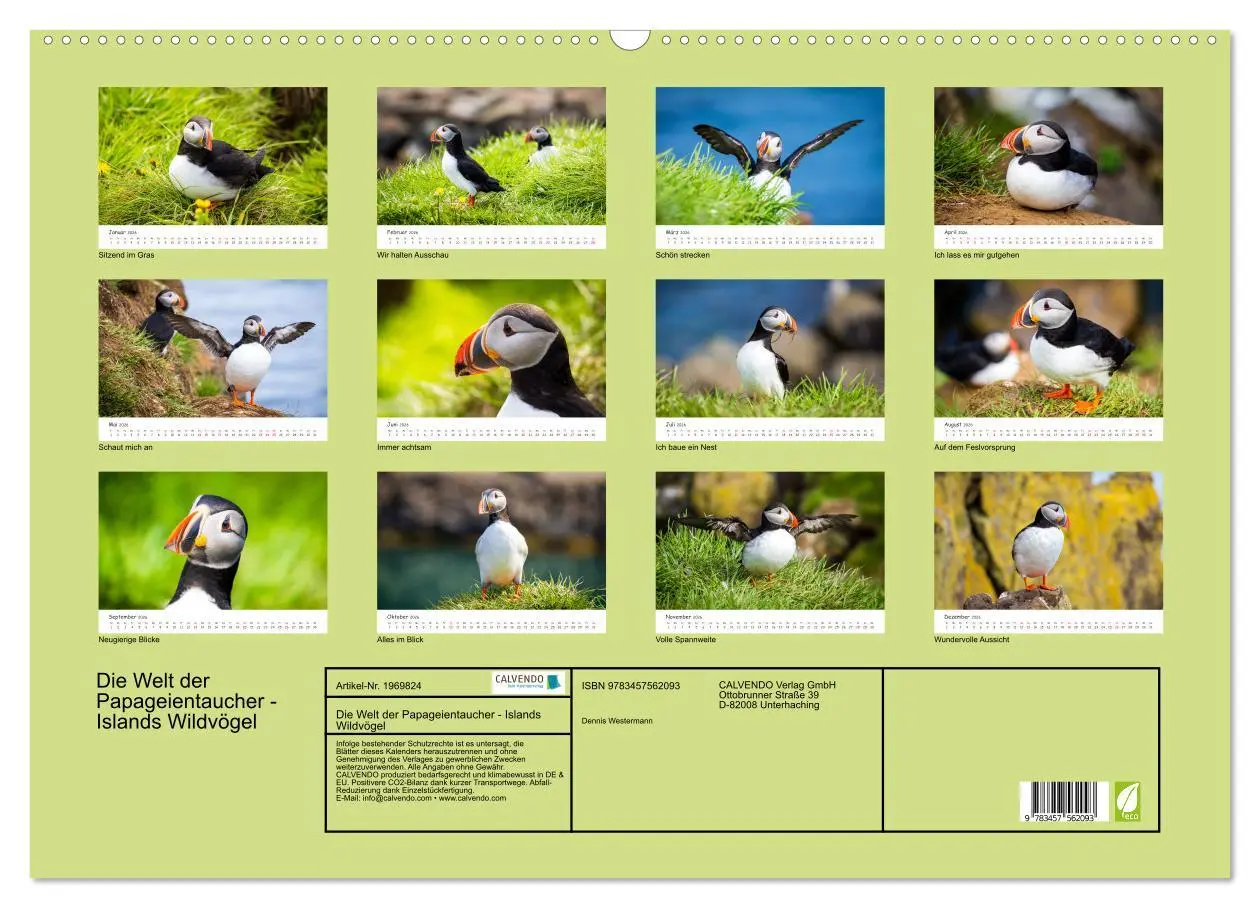 Bild: 9783457562093 | Die Welt der Papageientaucher - Islands Wildvögel (Wandkalender...