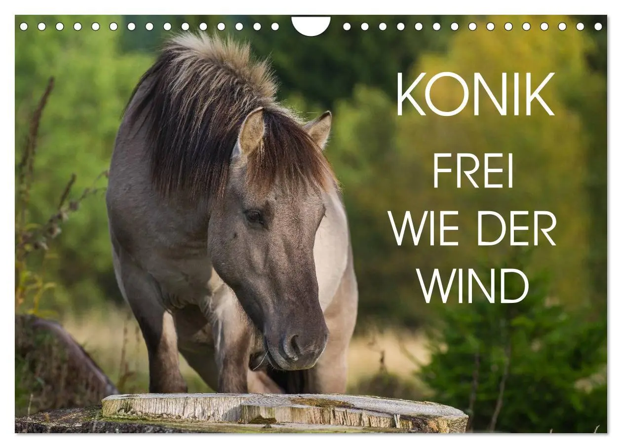Cover: 9783516032093 | Konik - Frei geboren (Wandkalender 2026 DIN A4 quer), CALVENDO...
