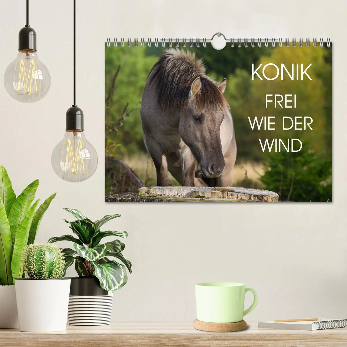Bild: 9783516032093 | Konik - Frei geboren (Wandkalender 2026 DIN A4 quer), CALVENDO...
