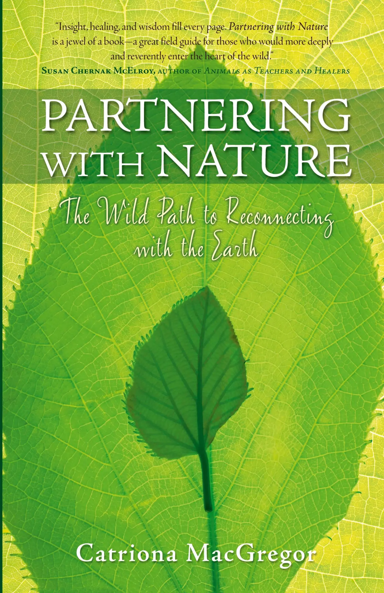 Cover: 9781582702193 | Partnering with Nature | The Wild Path to Reconnecting with the Earth
