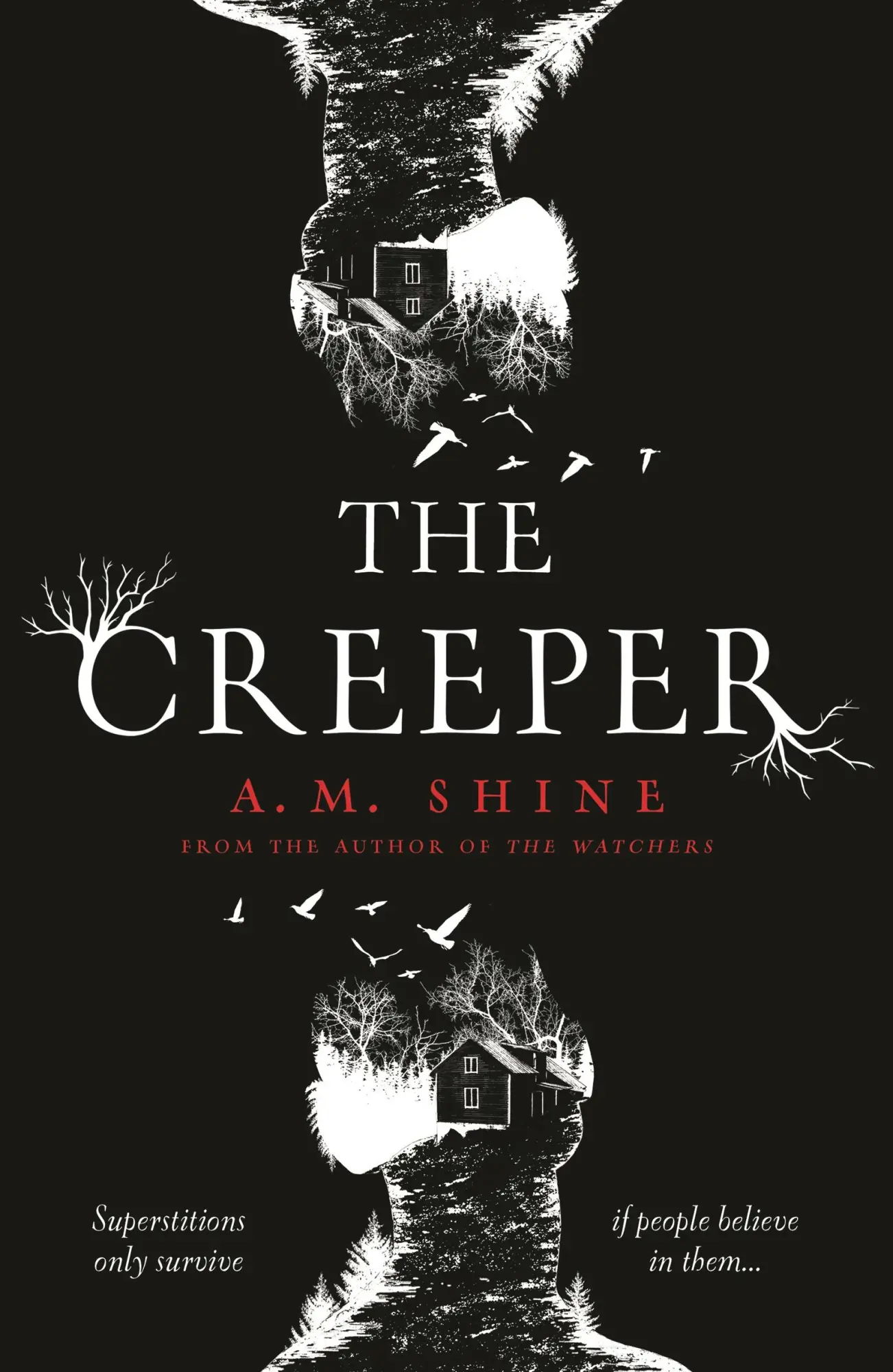 Cover: 9781801102193 | The Creeper | A. M. Shine | Taschenbuch | Paperback | Englisch | 2023