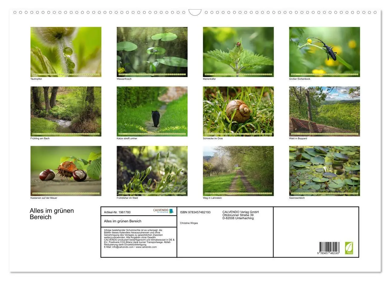 Bild: 9783457482193 | Alles im grünen Bereich (Wandkalender 2026 DIN A2 quer), CALVENDO...