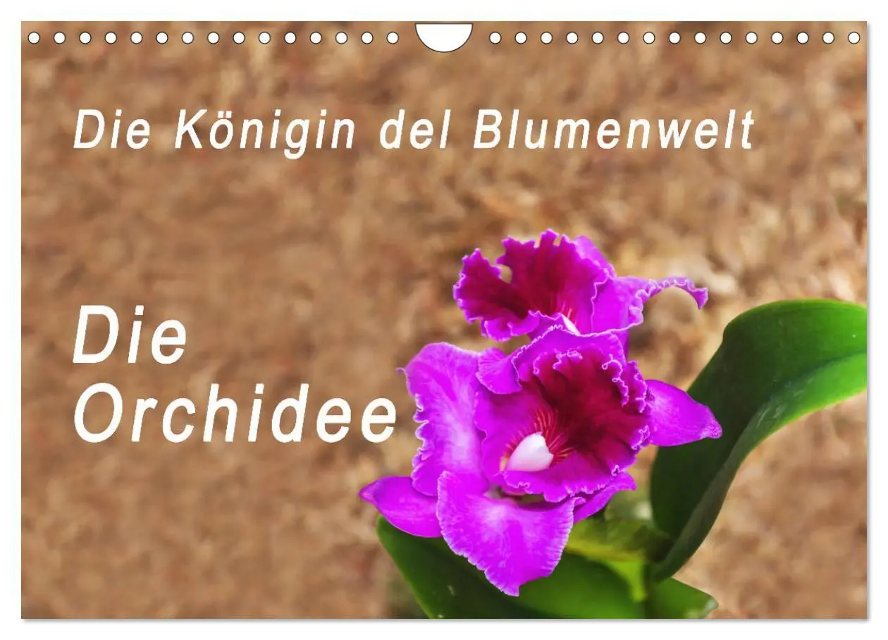 Cover: 9783457932193 | Die Königin der Blumenwelt, die Orchidee (Wandkalender 2026 DIN A4...